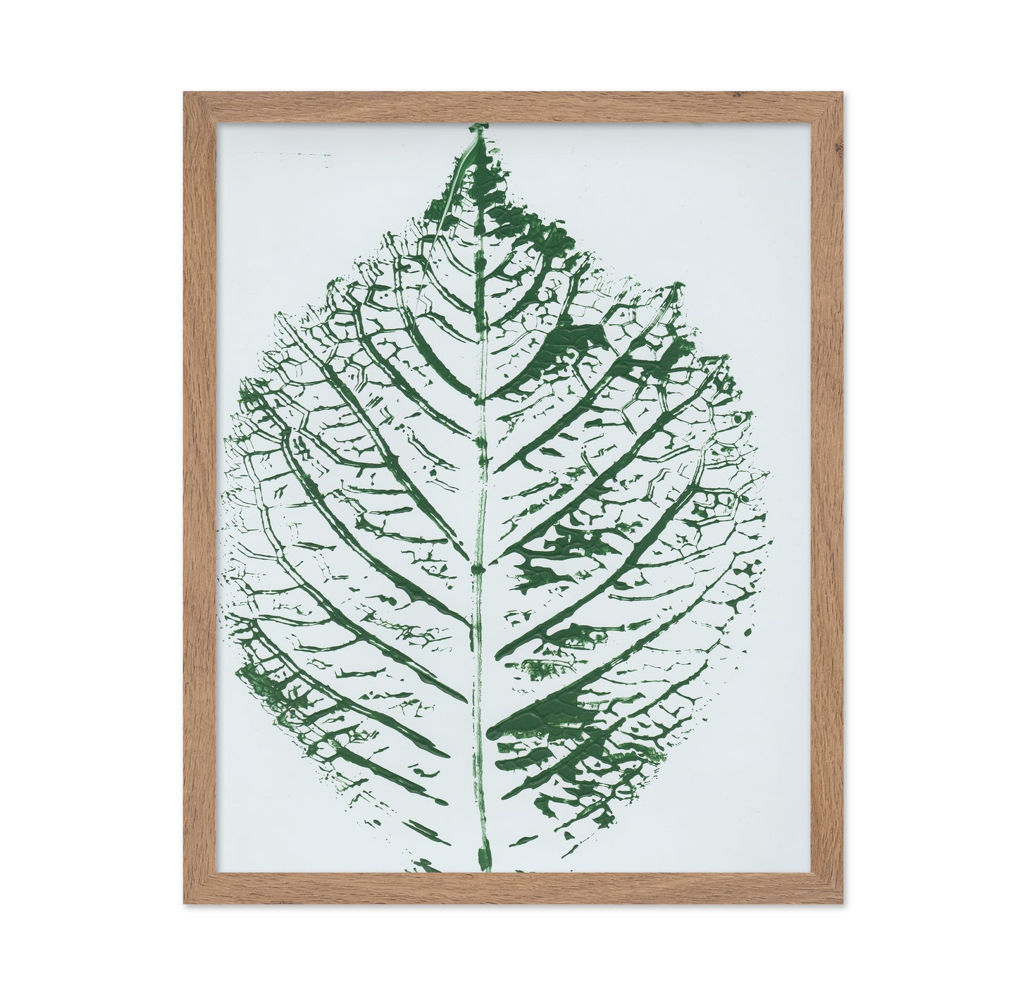 Green Leaf Veins