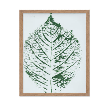 Green Leaf Veins