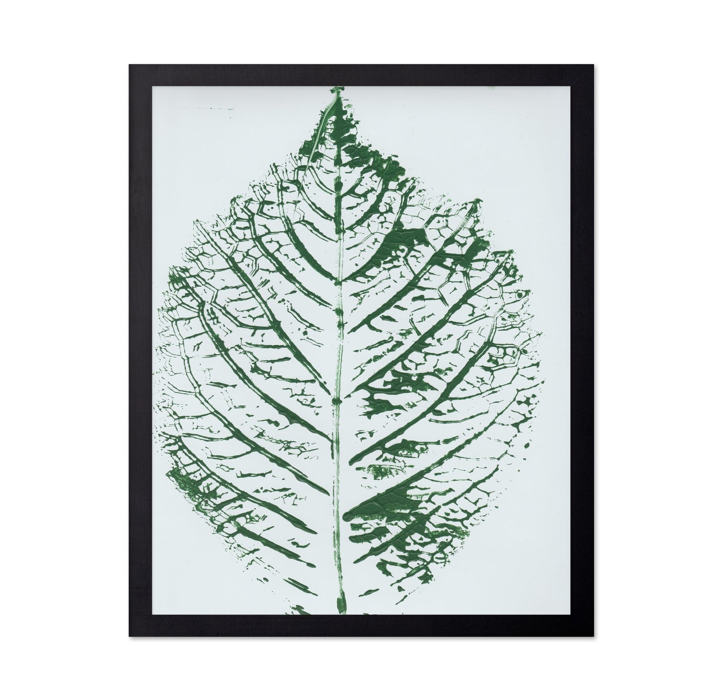 Green Leaf Veins