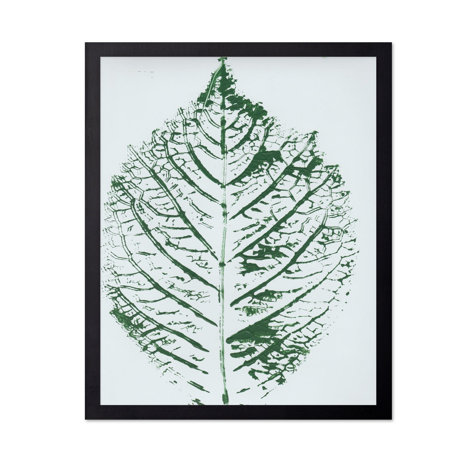 Green Leaf Veins