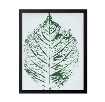 Green Leaf Veins