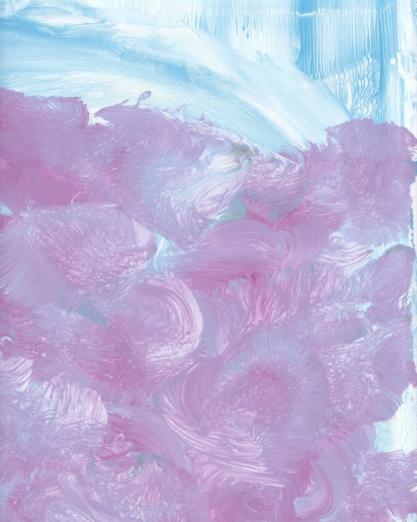 Soft Winter Blooms