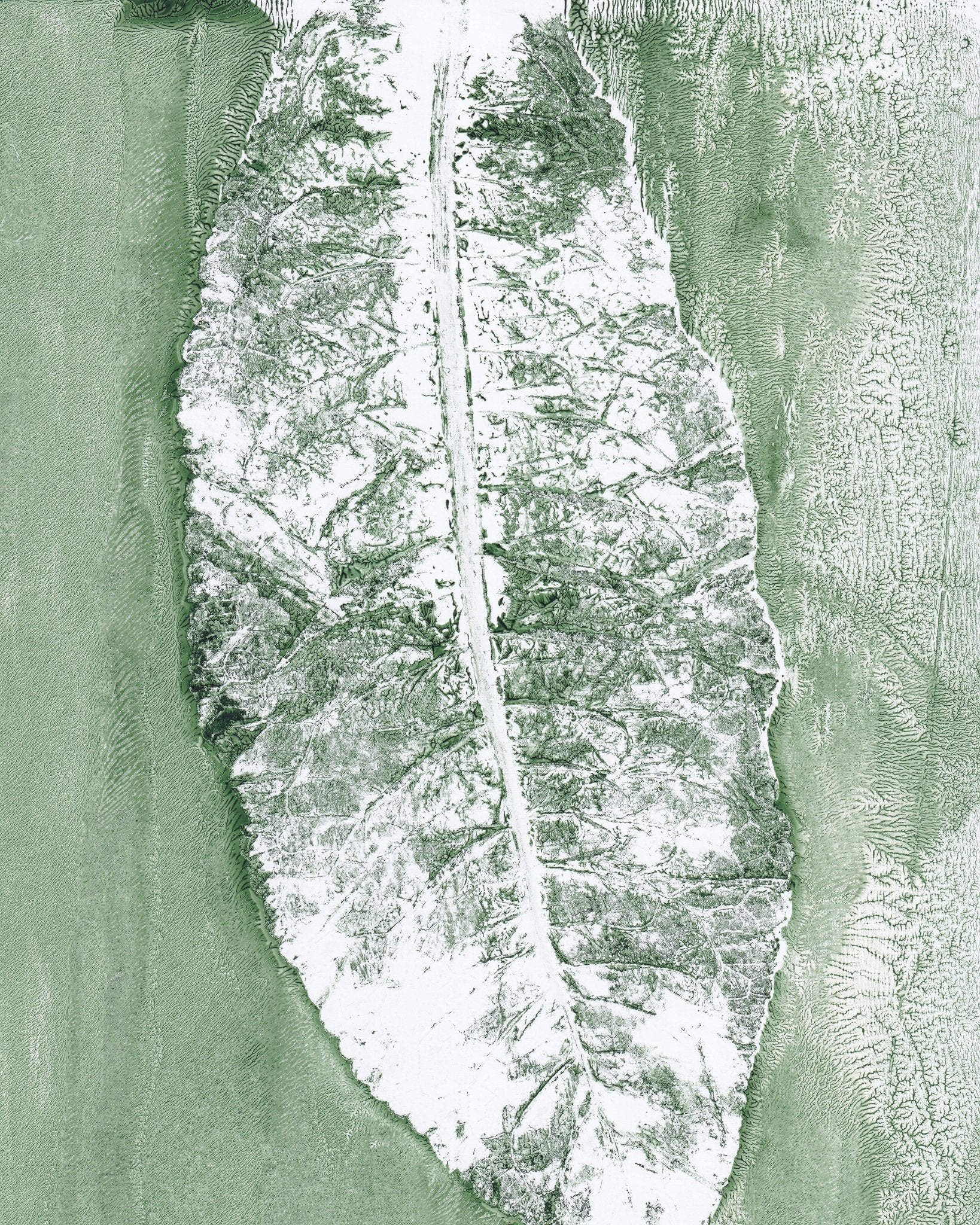 Minimal Leaf Impression