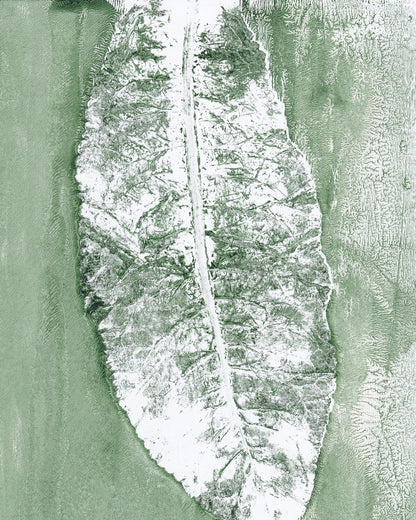 Minimal Leaf Impression