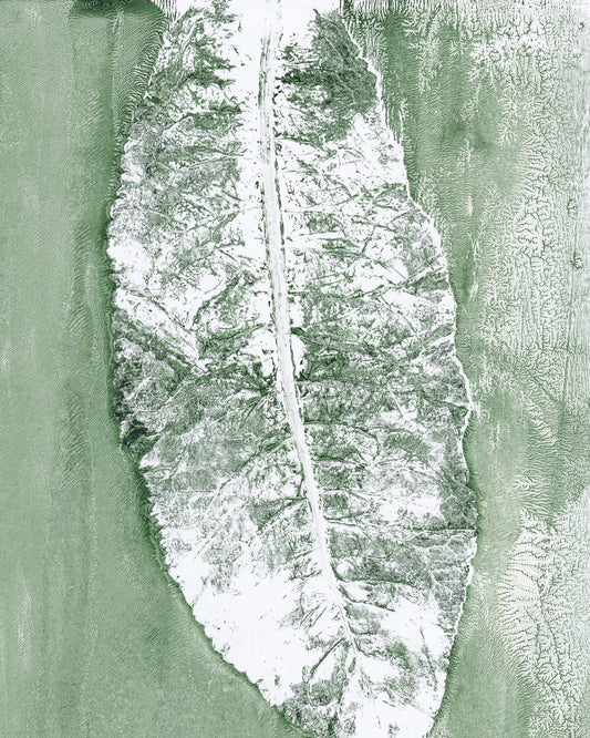Minimal Leaf Impression