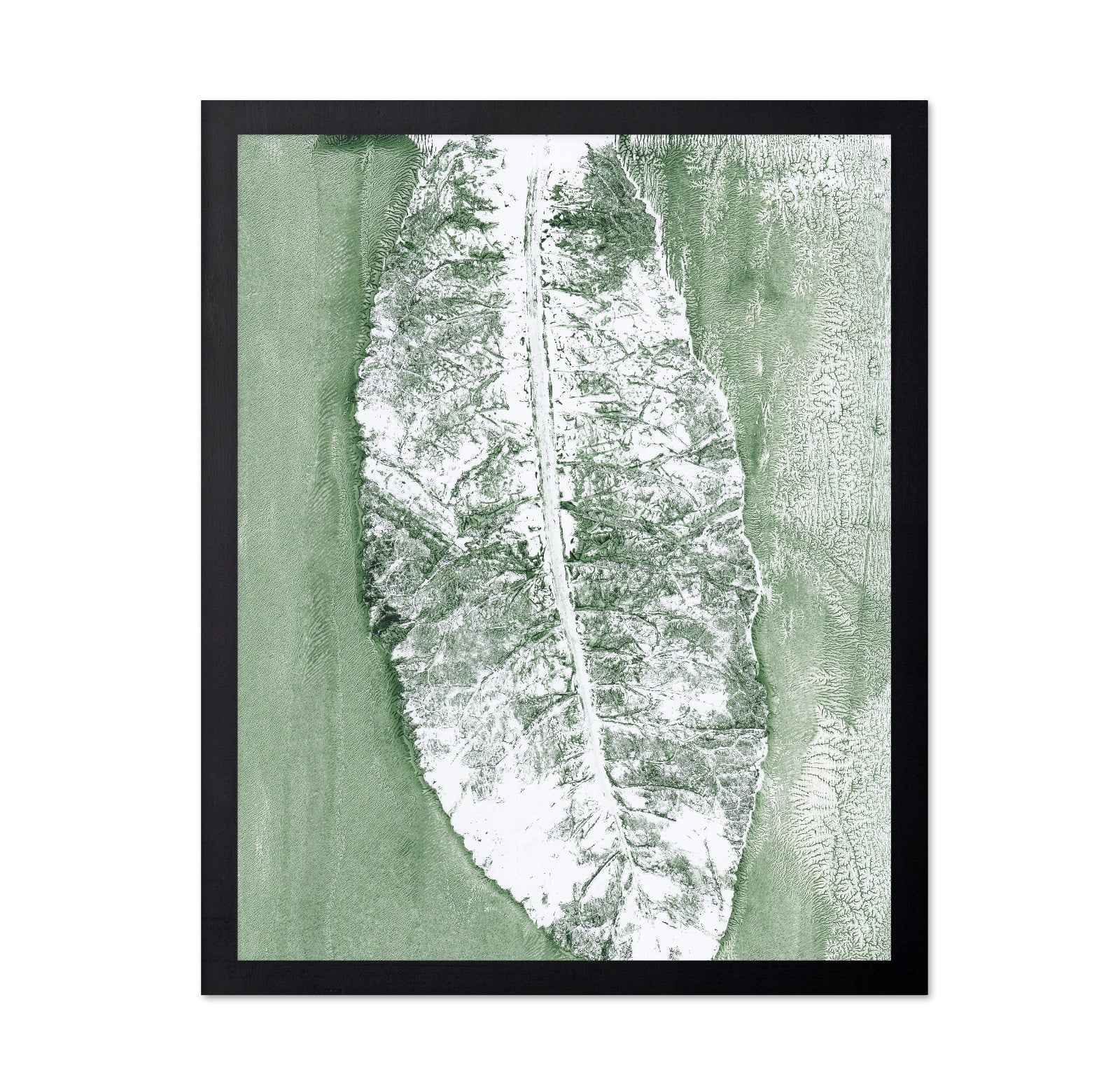Minimal Leaf Impression