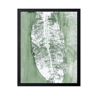 Minimal Leaf Impression