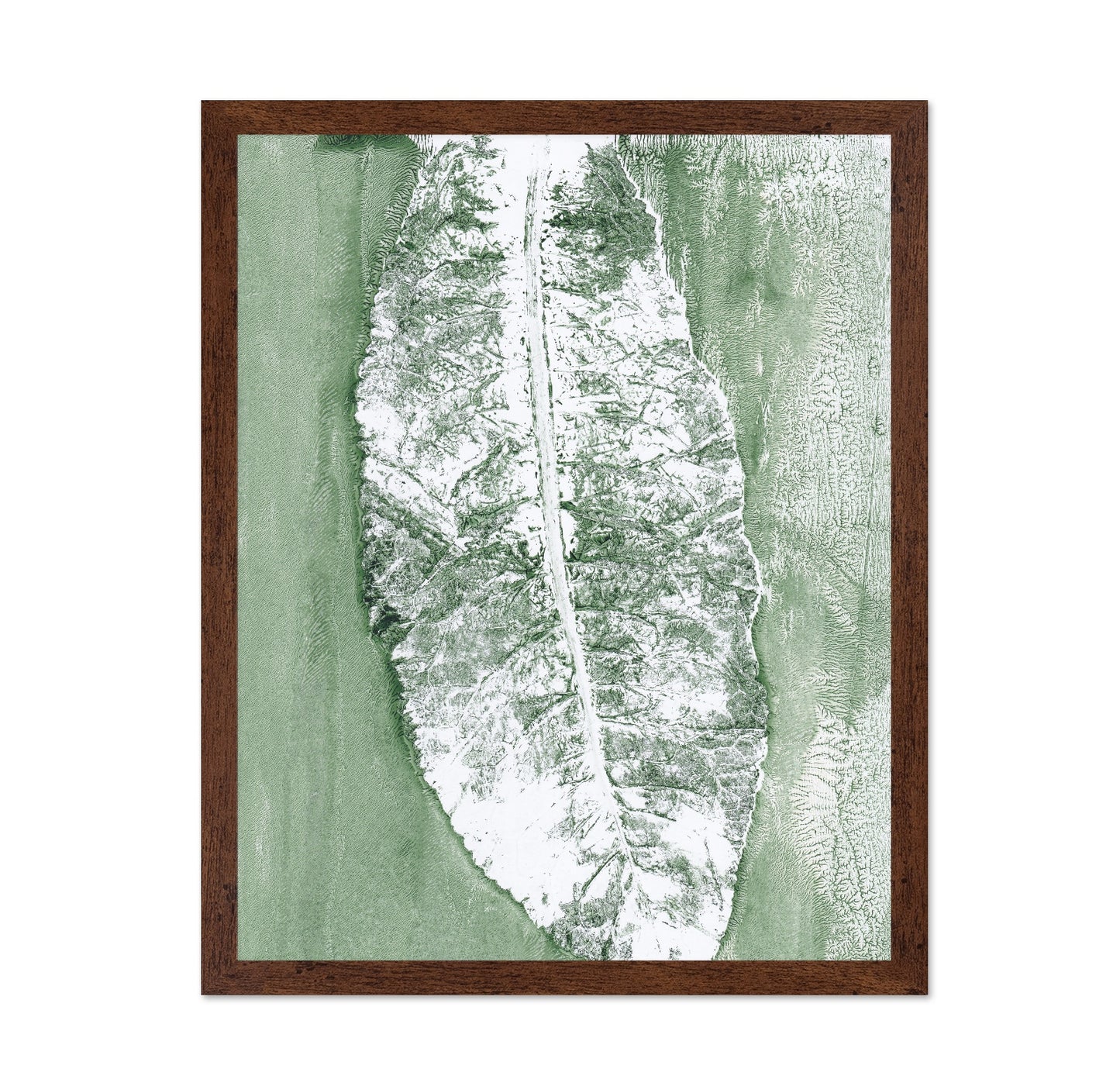 Minimal Leaf Impression