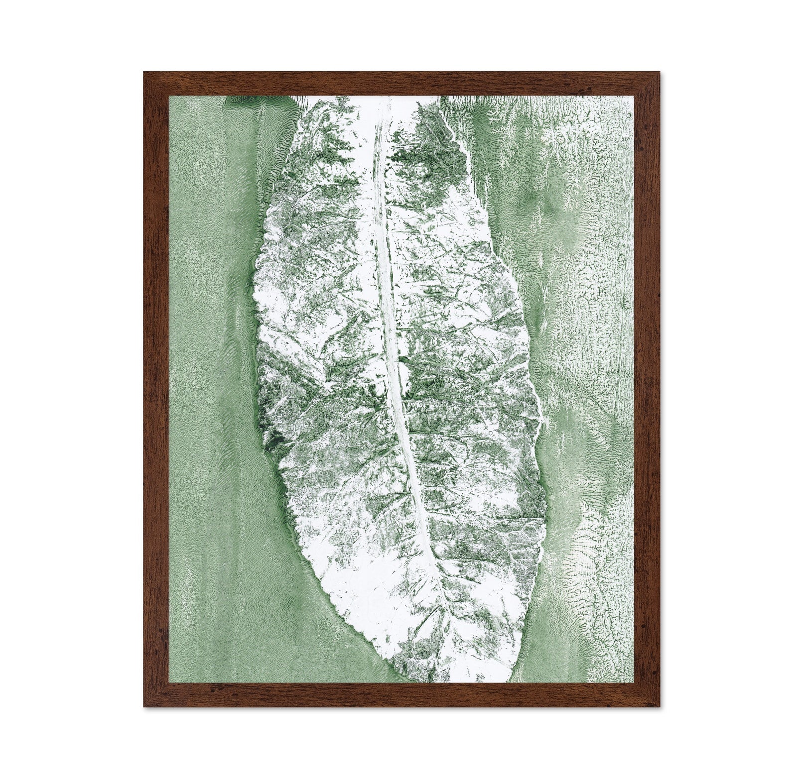 Minimal Leaf Impression