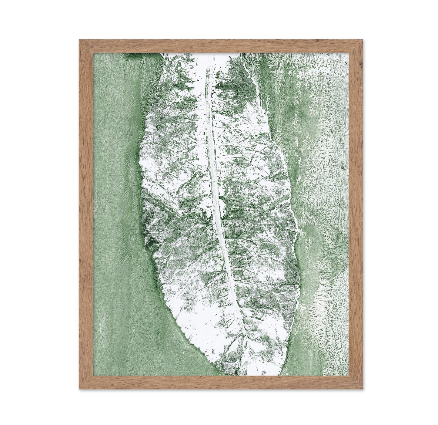 Minimal Leaf Impression