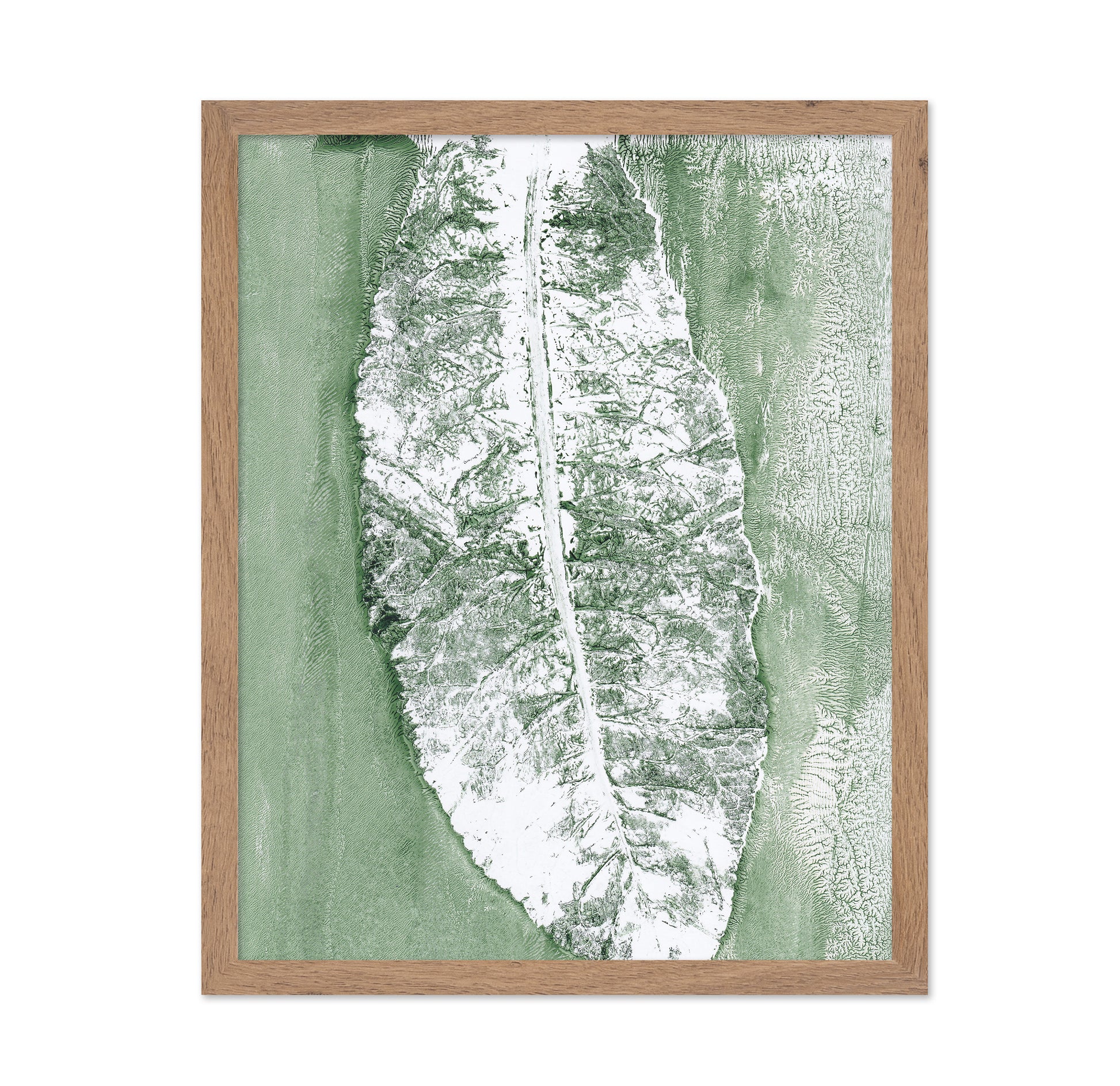 Minimal Leaf Impression