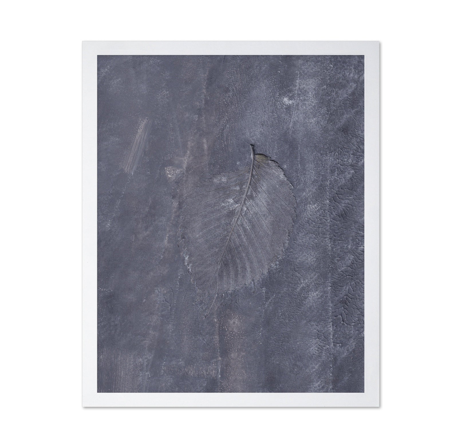 Muted Leaf No1