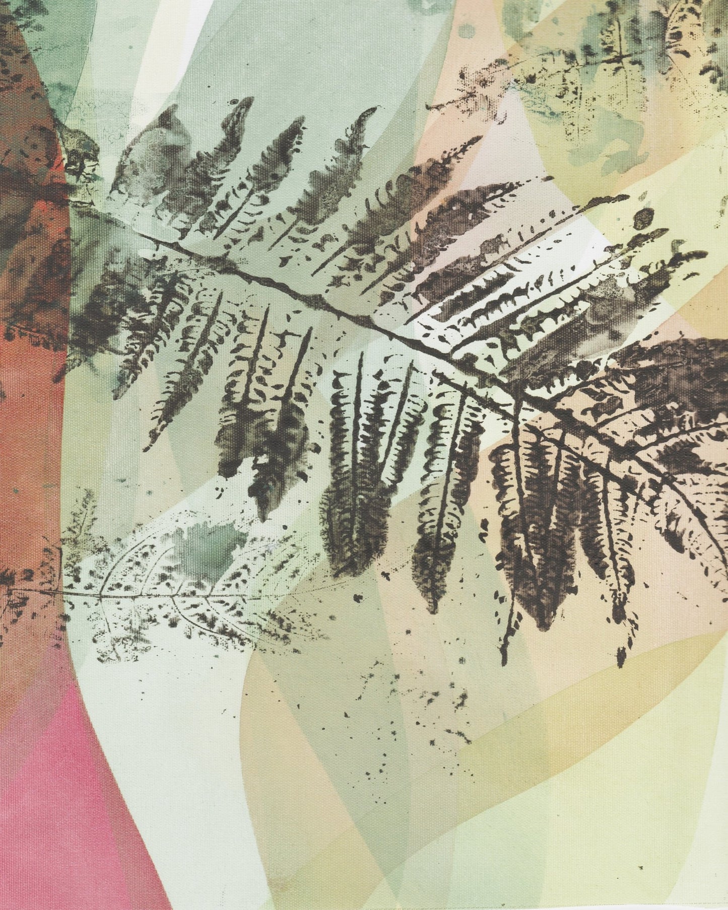 Fern Geometry