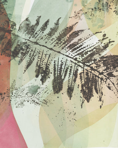 Fern Geometry