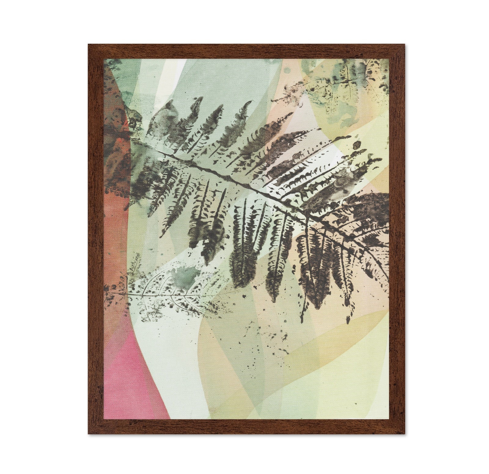 Fern Geometry