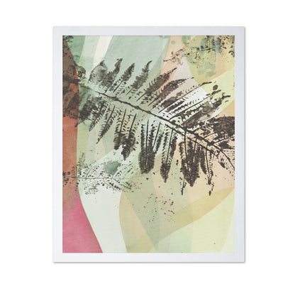 Fern Geometry