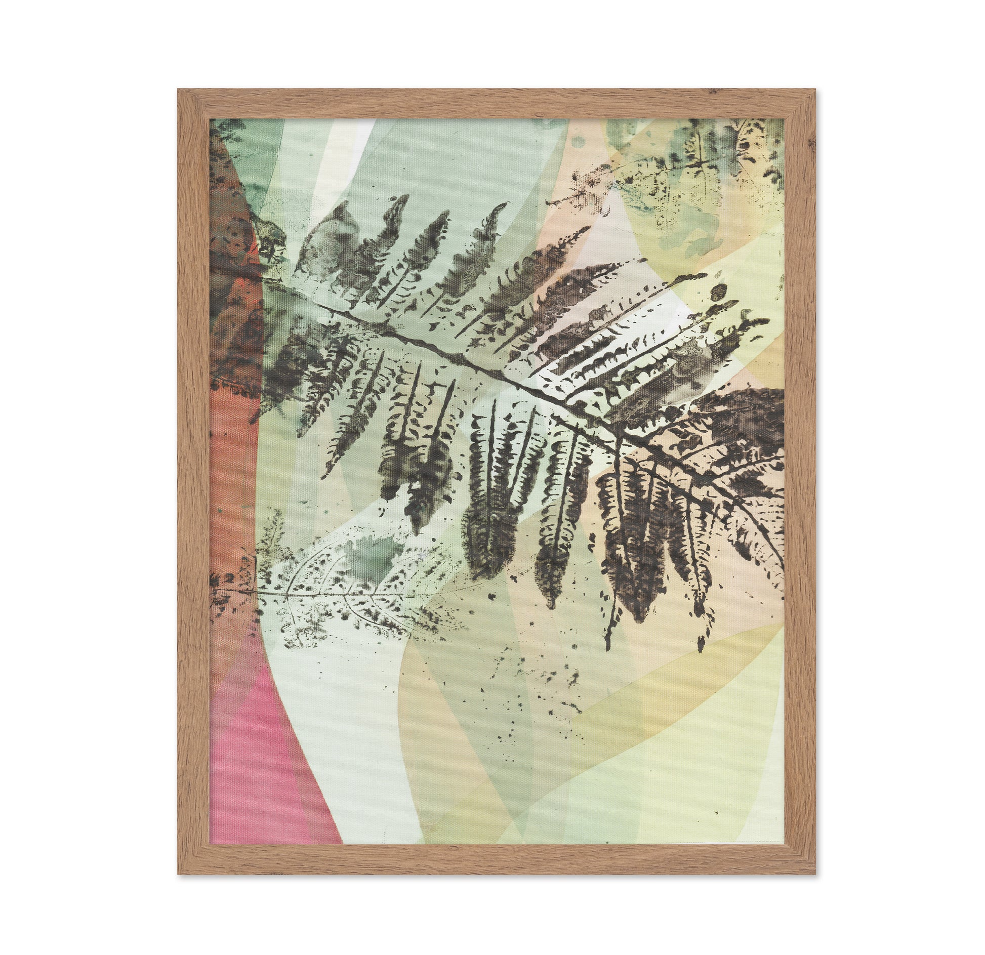 Fern Geometry
