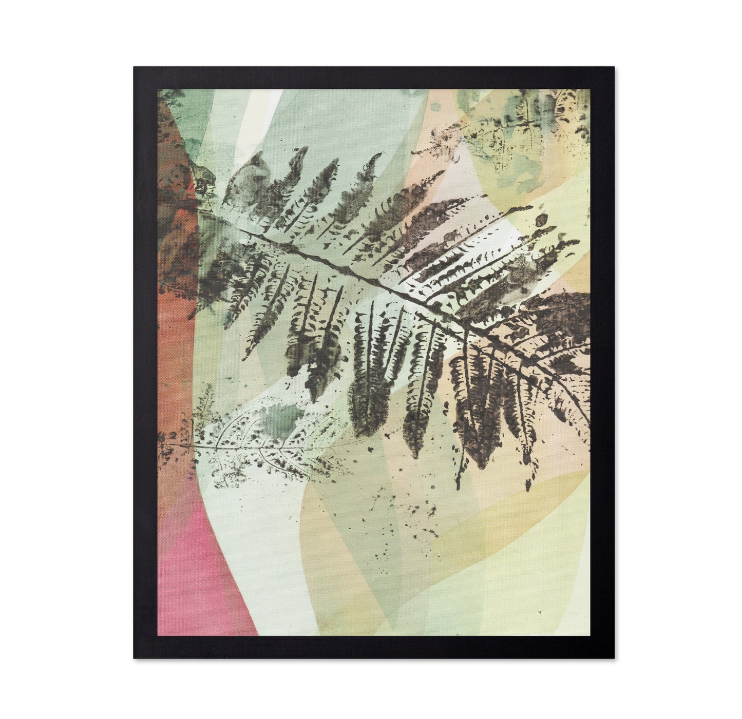 Fern Geometry