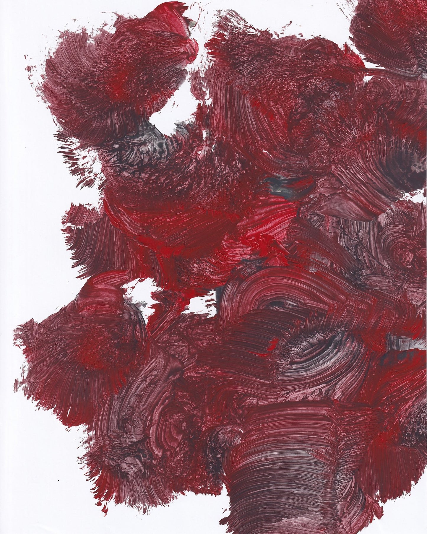 Crimson Bloom Texture