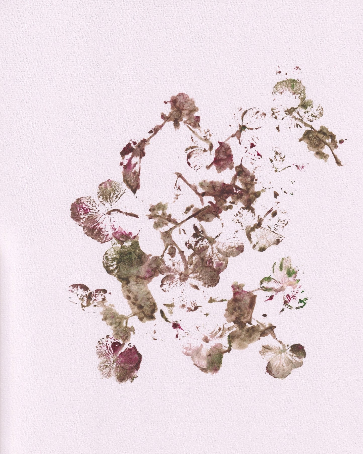 Muted Botanical Sketch