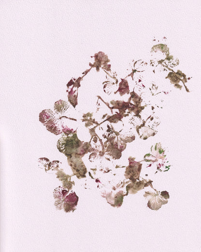 Muted Botanical Sketch