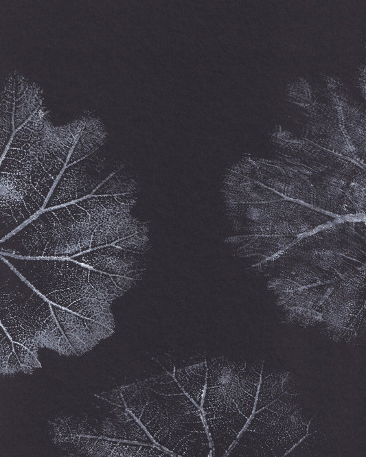 Monochrome Leaves No2