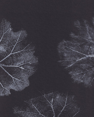 Monochrome Leaves No2