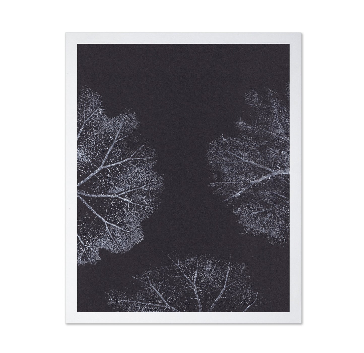 Monochrome Leaves No2