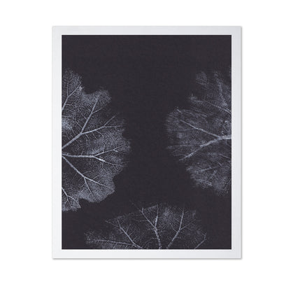 Monochrome Leaves No2