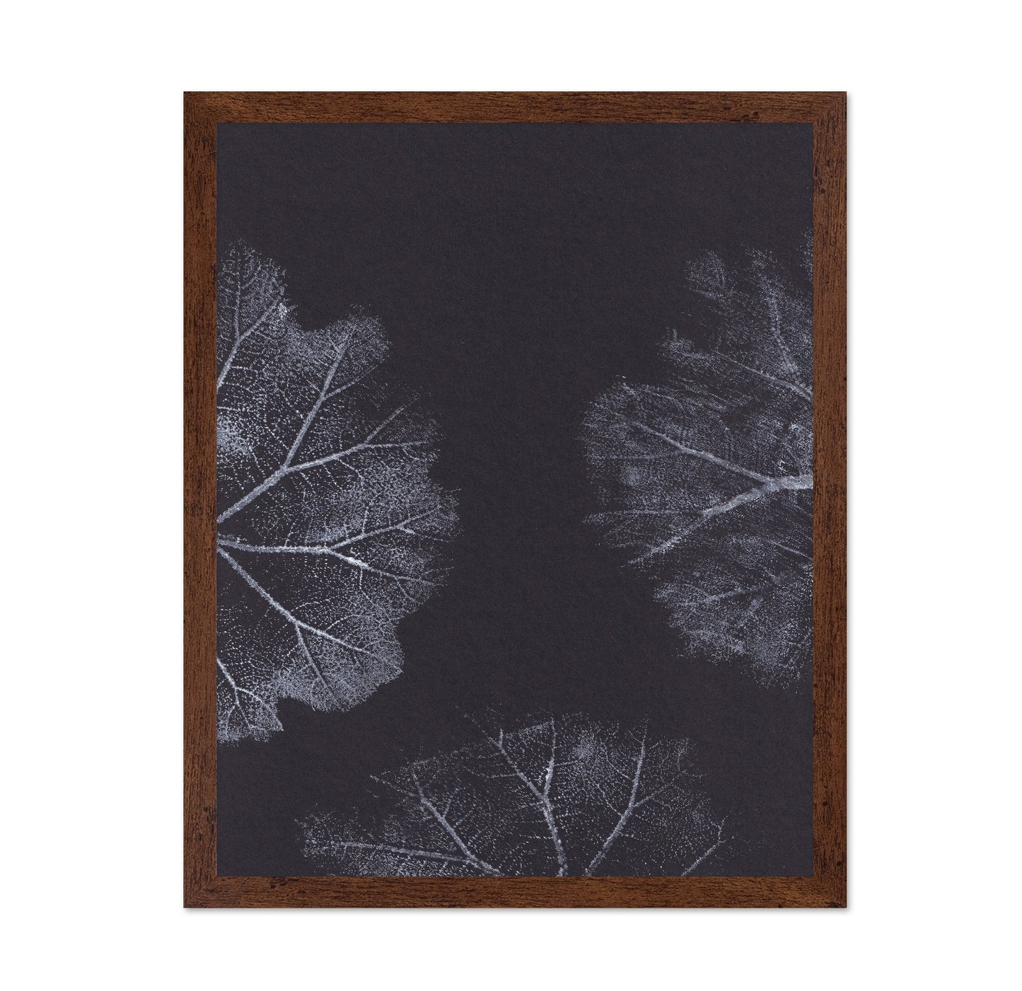 Monochrome Leaves No2