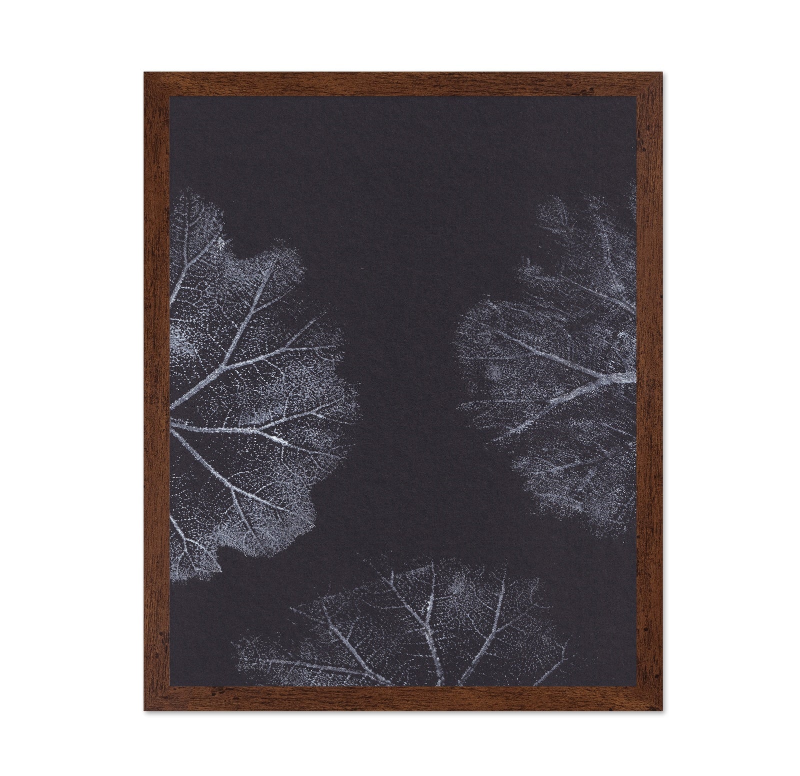 Monochrome Leaves No2