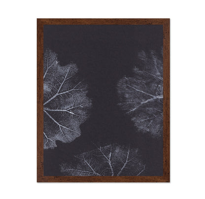 Monochrome Leaves No2