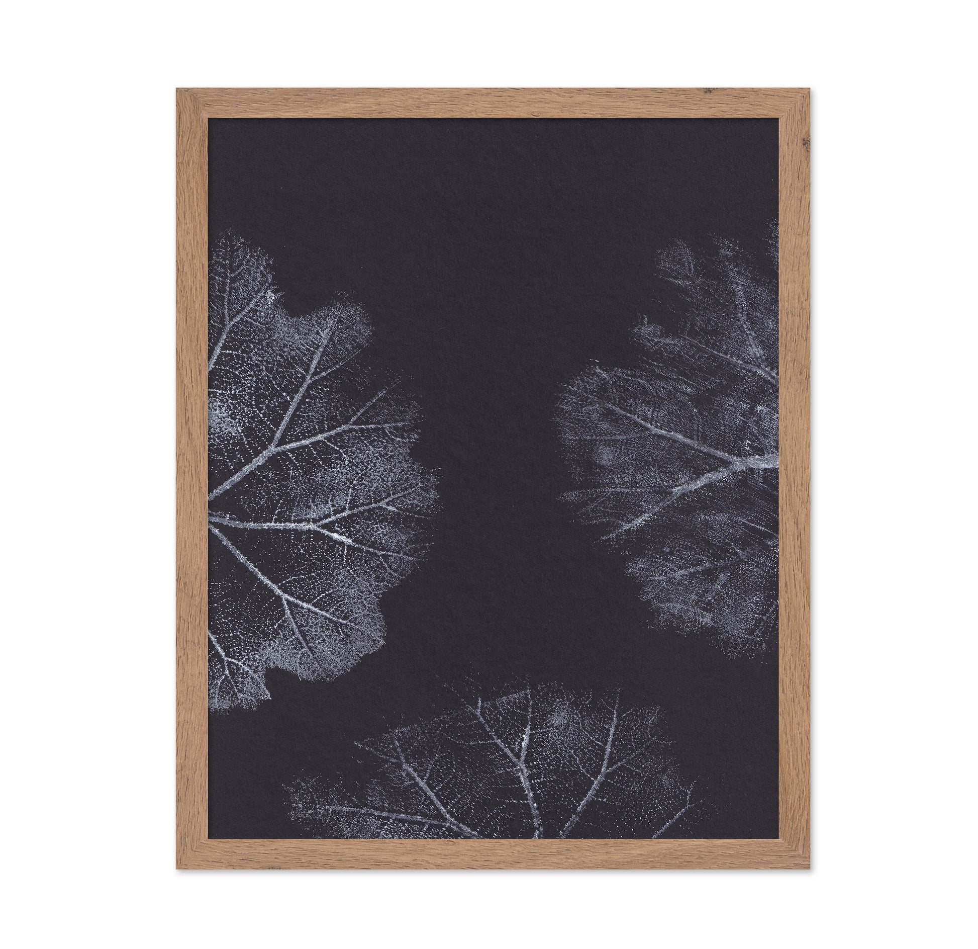 Monochrome Leaves No2