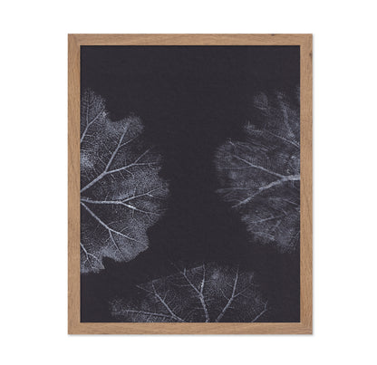 Monochrome Leaves No2