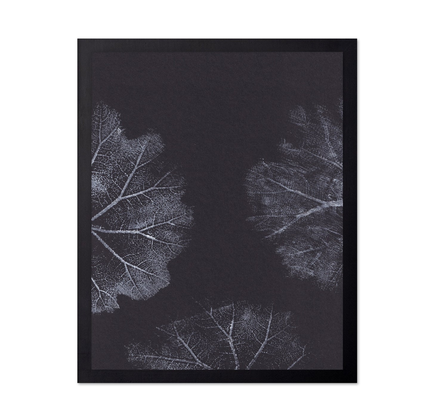 Monochrome Leaves No2