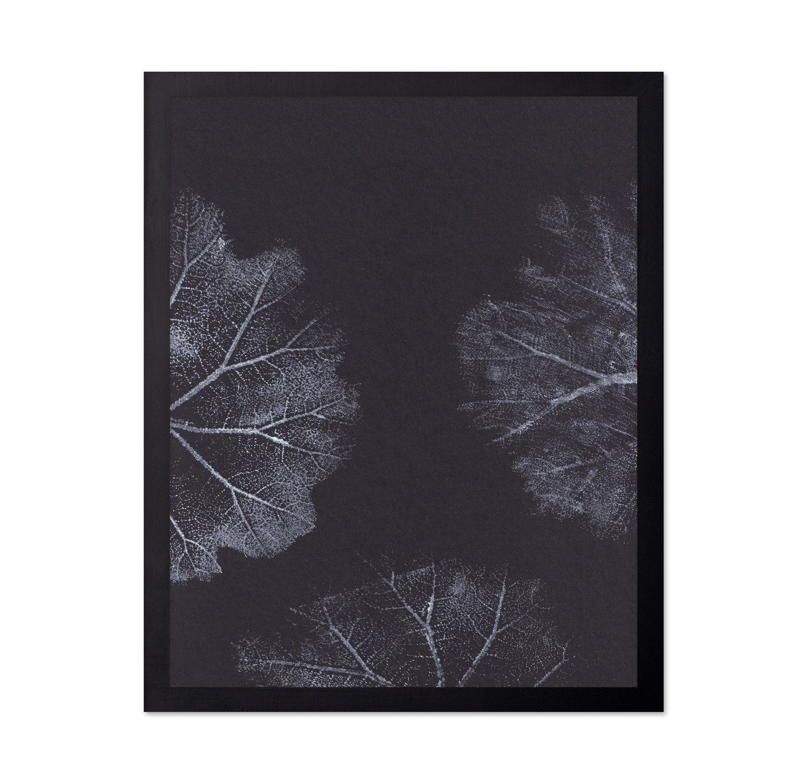 Monochrome Leaves No2