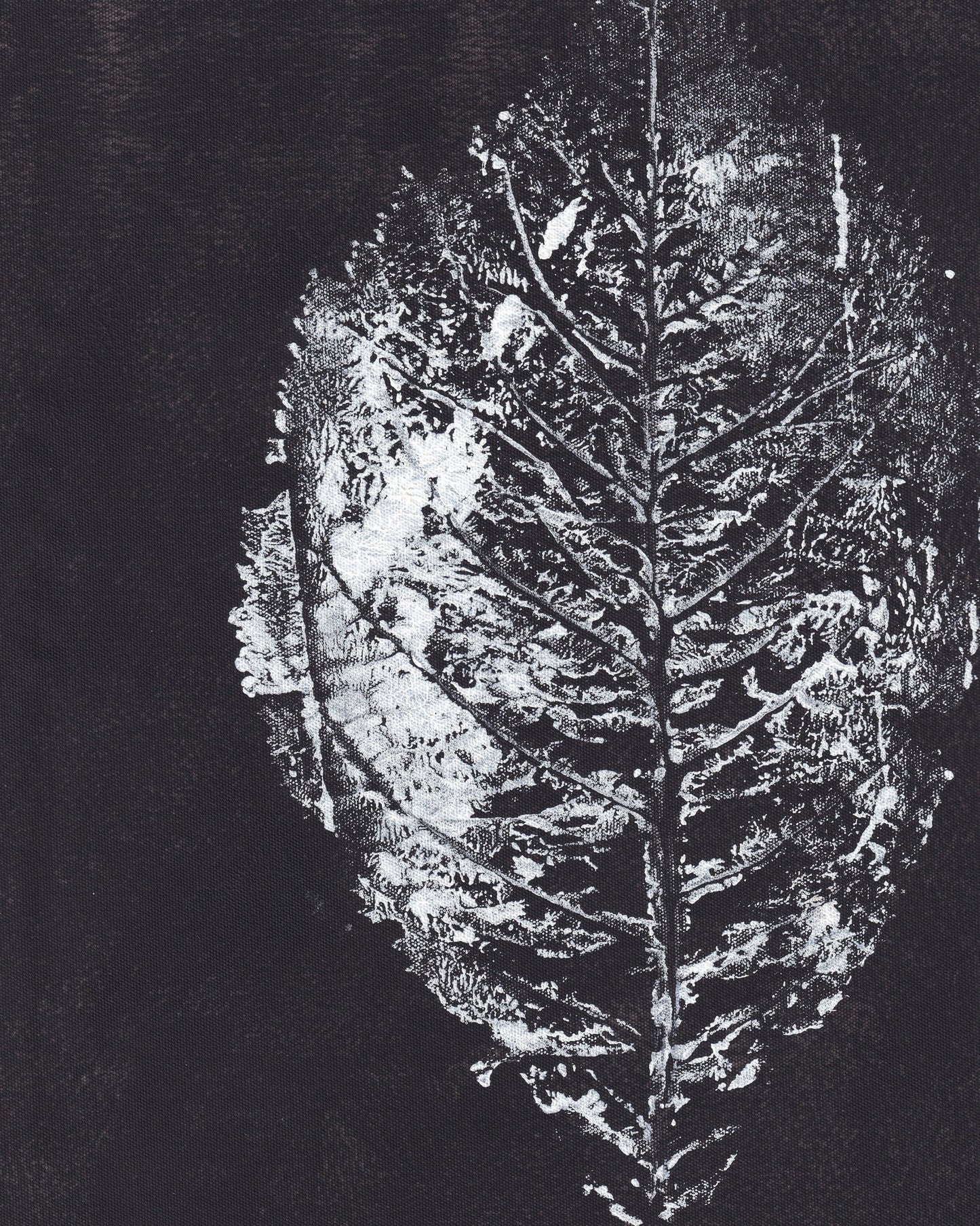 Monochrome Leaf