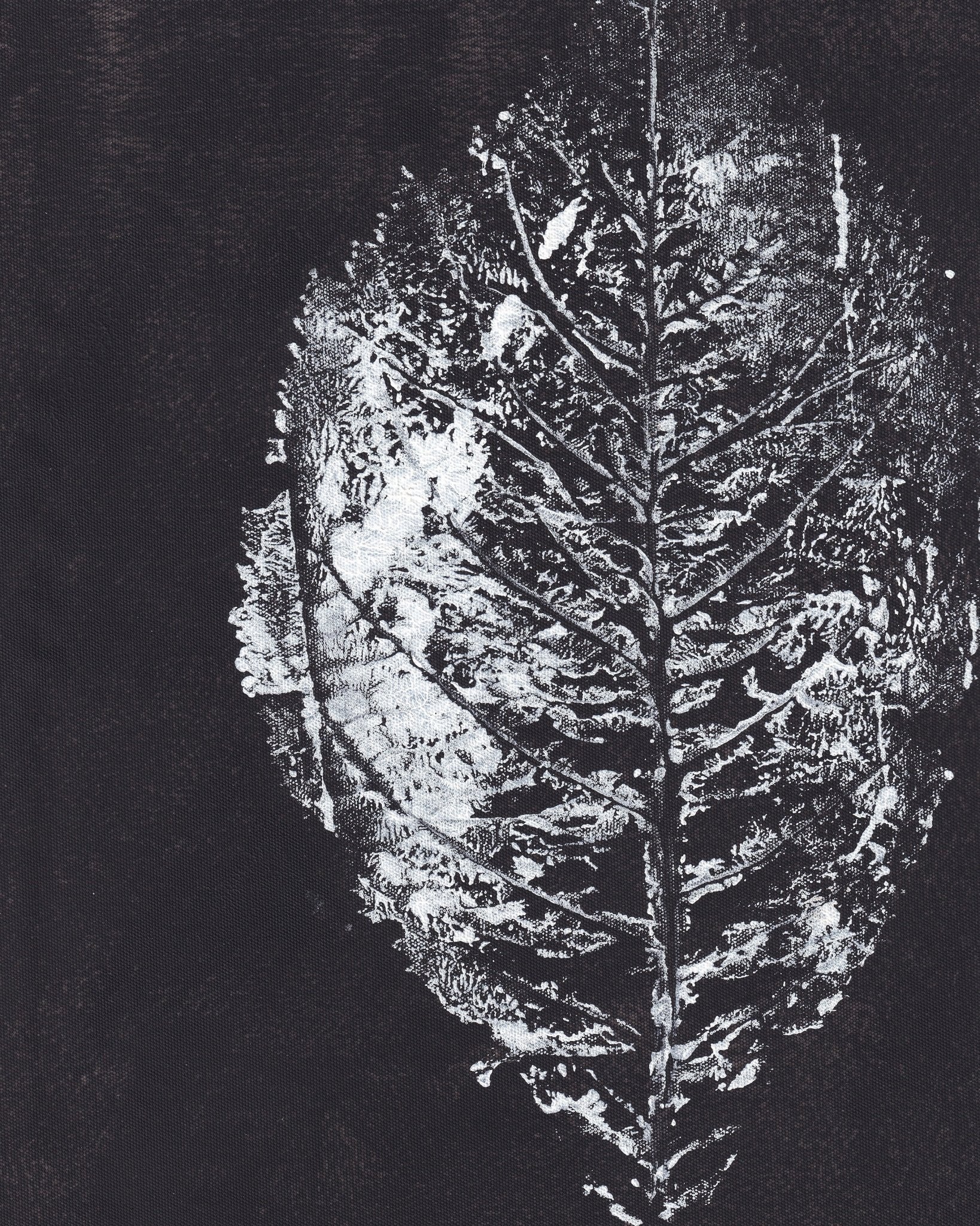 Monochrome Leaf
