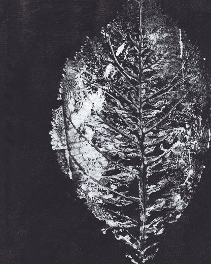 Monochrome Leaf