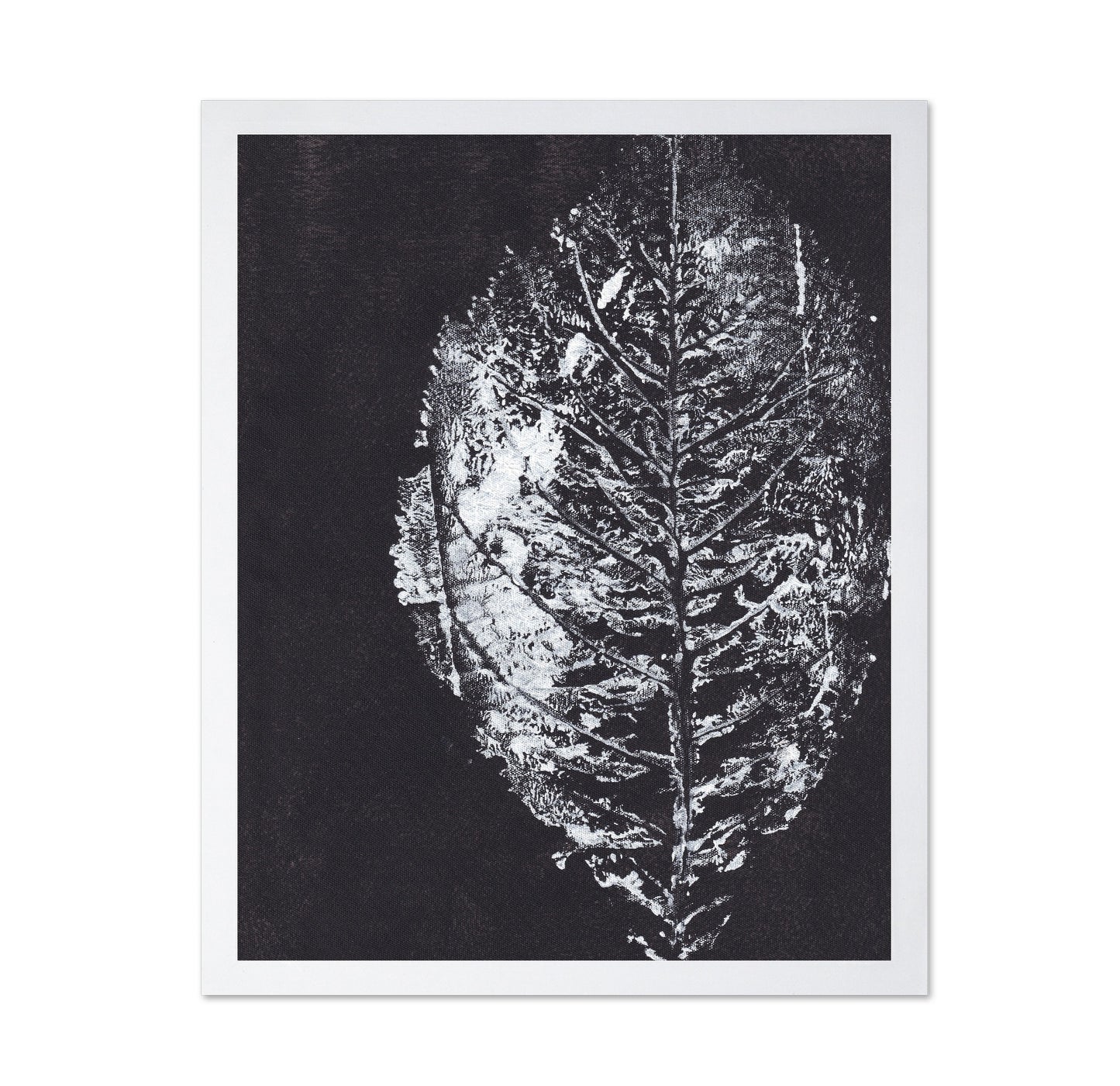 Monochrome Leaf