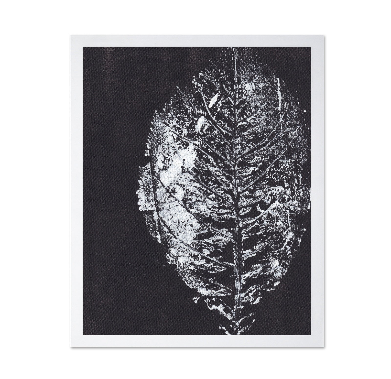 Monochrome Leaf