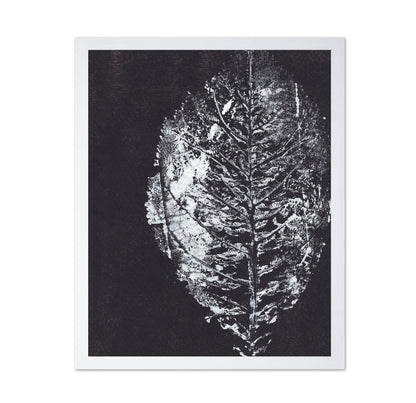 Monochrome Leaf