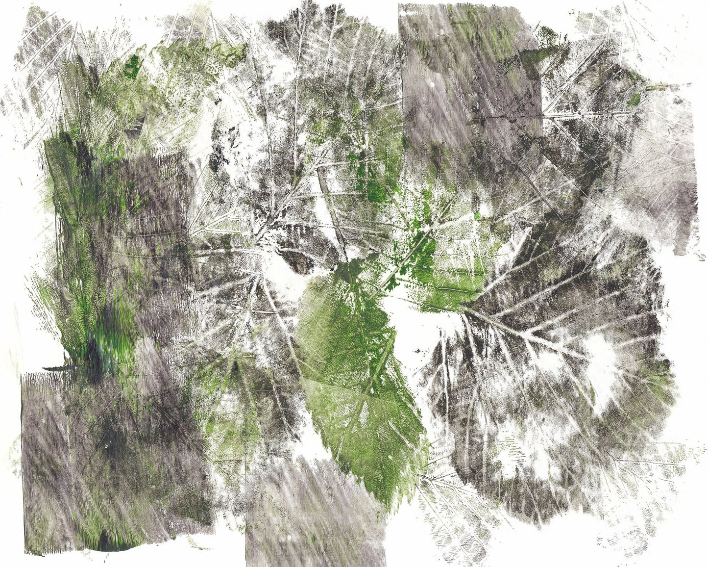 Leaf Imprint Grid