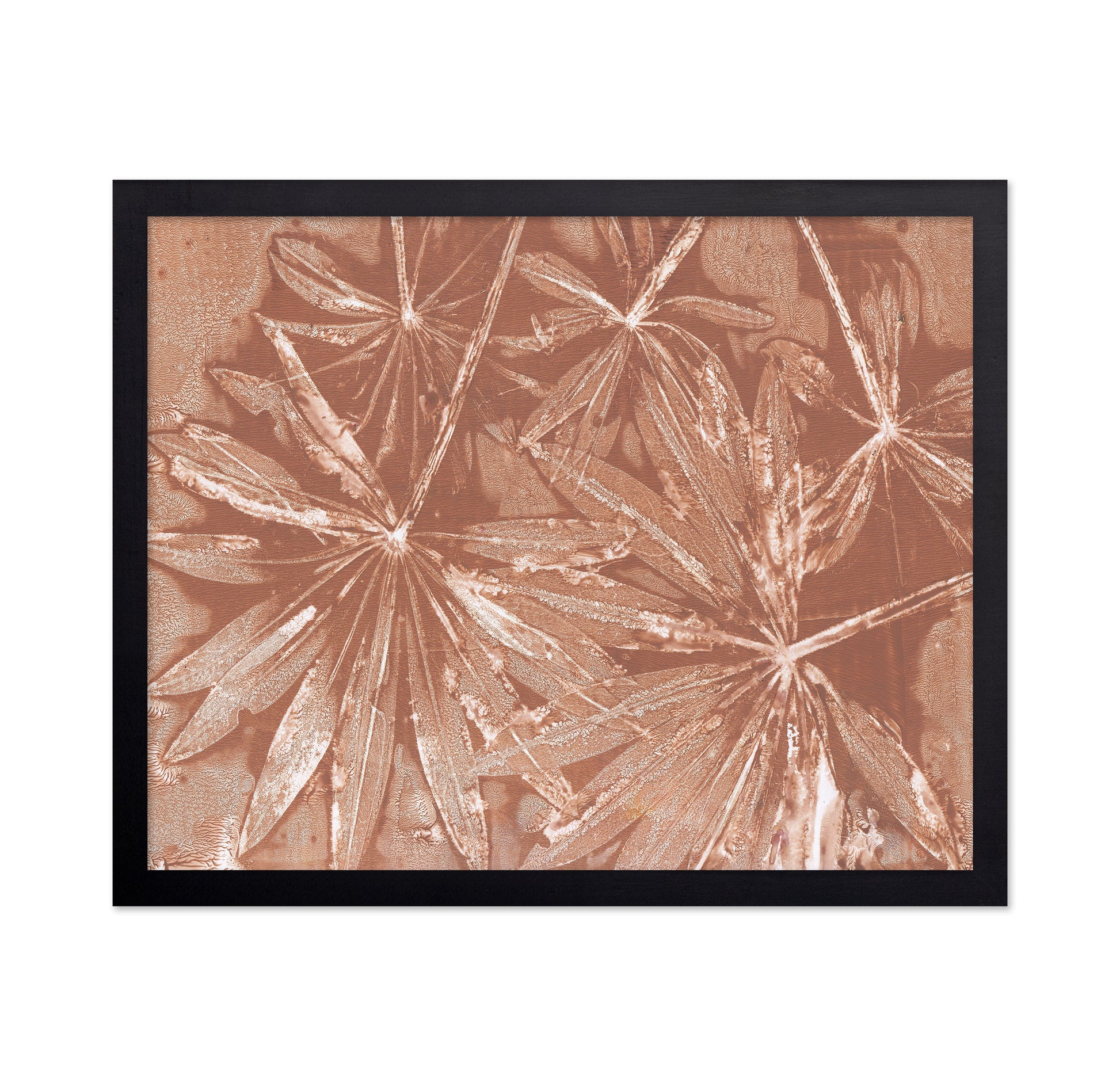 Leaf Burst