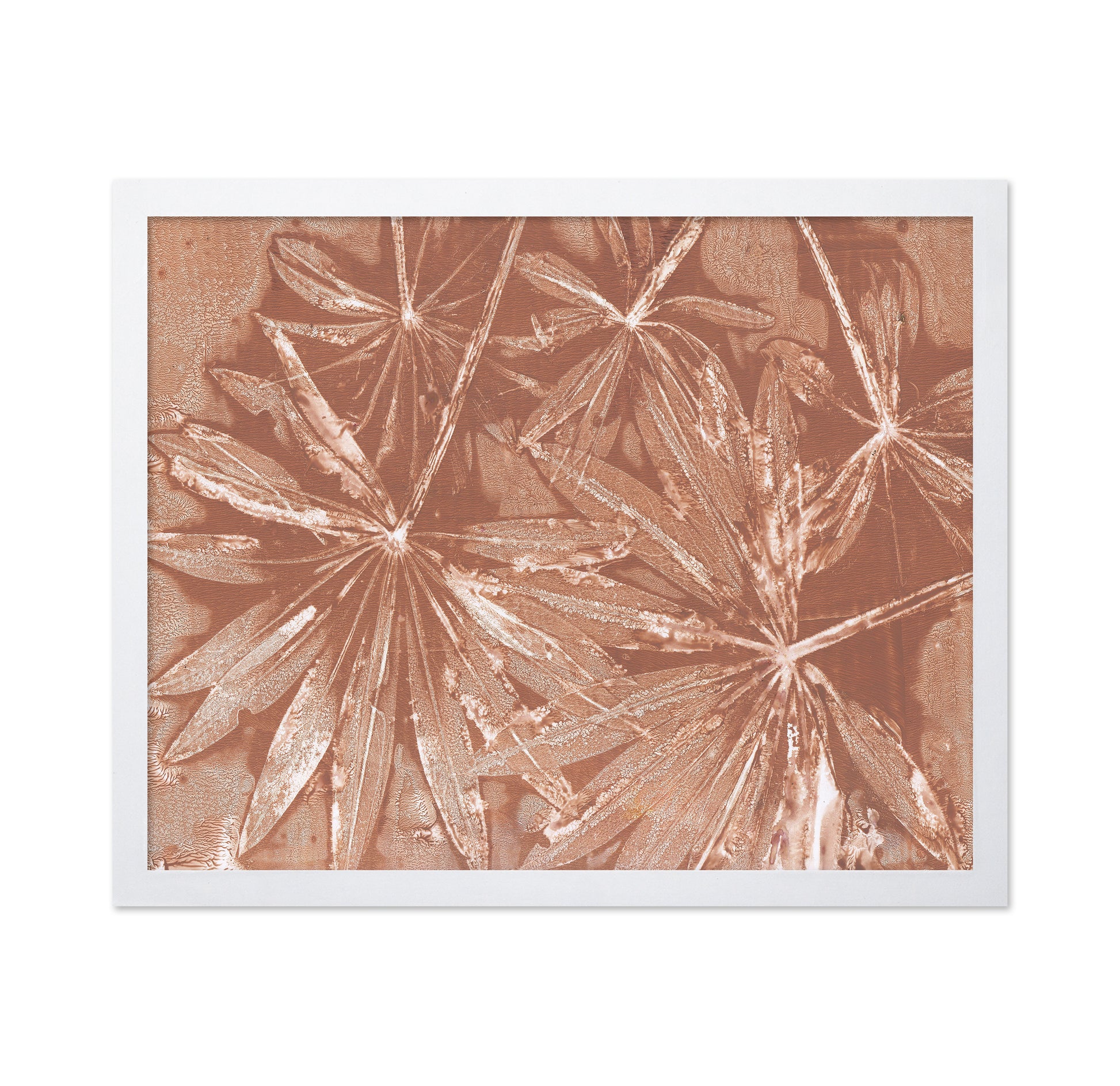 Leaf Burst