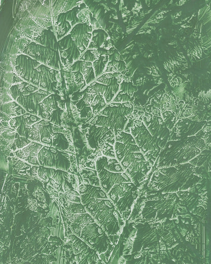 Green Vein Texture