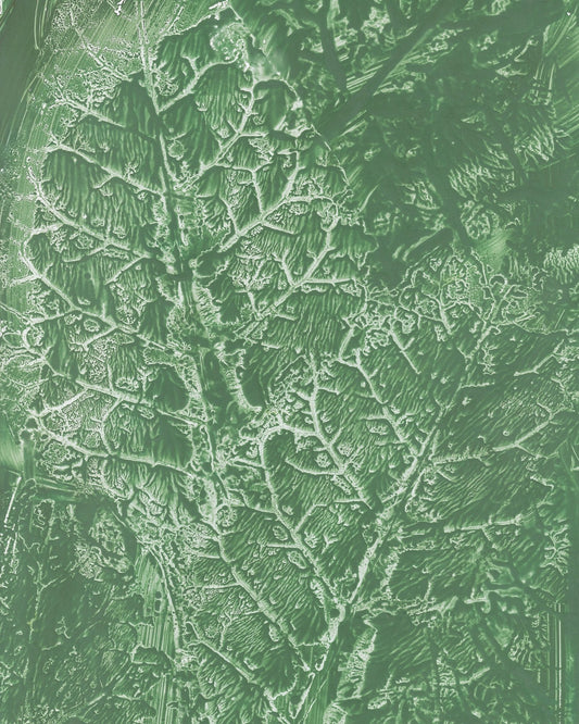 Green Vein Texture