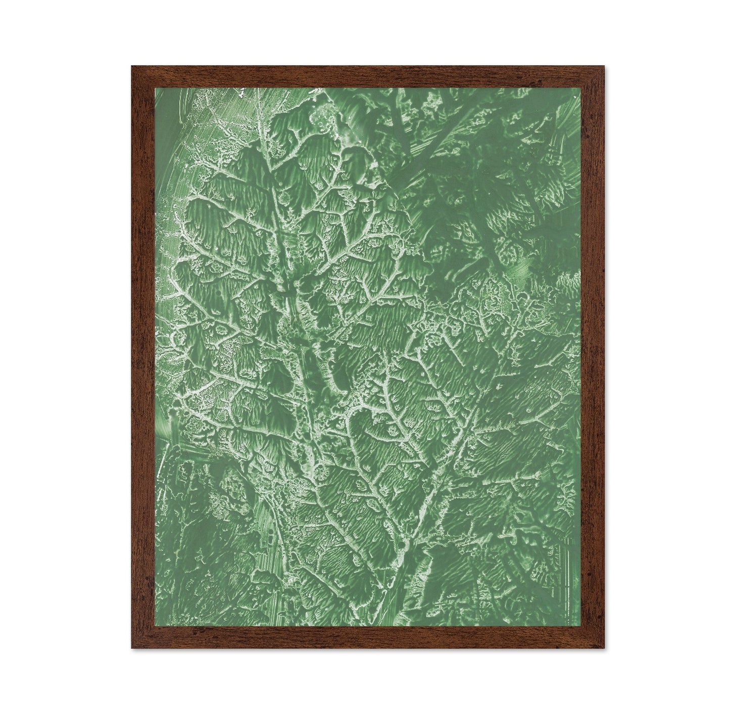 Green Vein Texture