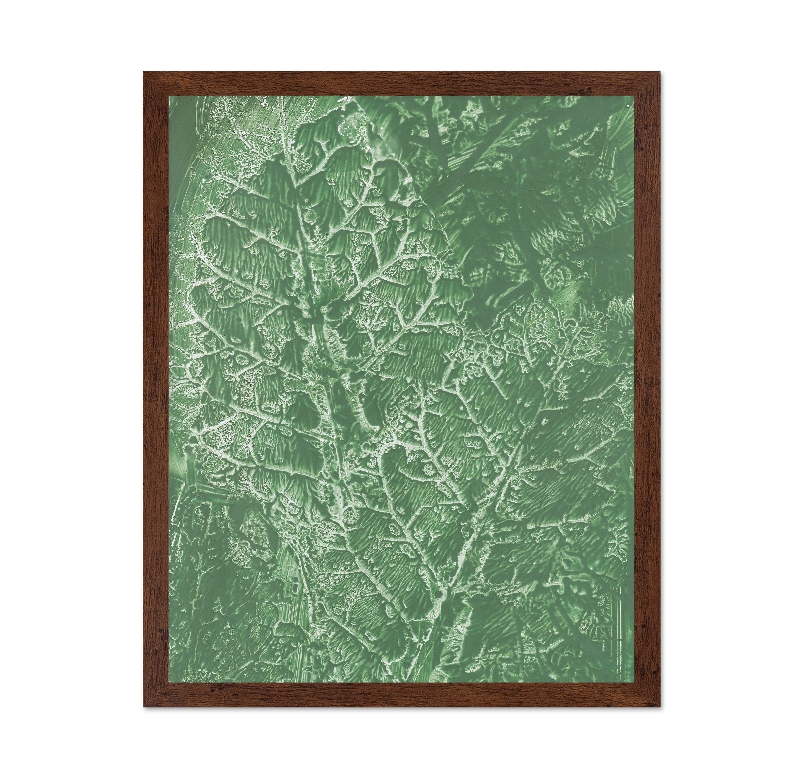 Green Vein Texture