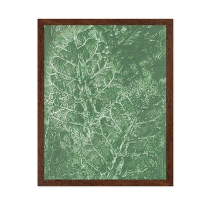 Green Vein Texture